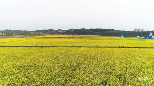 震撼！南部农业播种现场展现科技魅力，网友惊呼 农业已进入“未来模式”