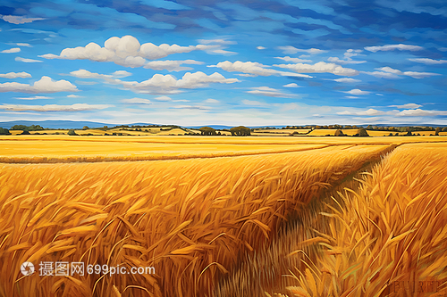 乡村麦田 农业种植的根基与画卷