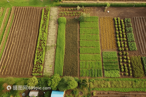 可持续农业 一幅农业培育的立体画卷