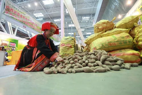 2019柳州农博会 万种珍品荟萃，尽显现代农业风采