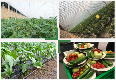 智能科技赋能，百誉农业引领园区现代化新篇章