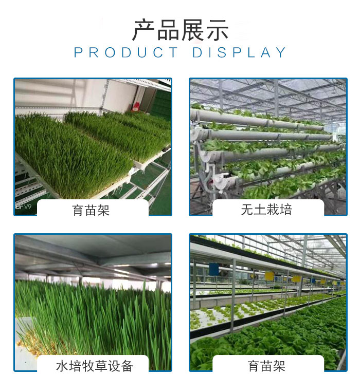 智能牧草种植设备 青泓农业引领绿色养殖新时代
